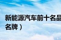 新能源汽车前十名品牌（国内纯电动汽车十大名牌）