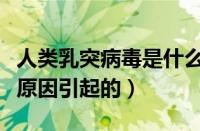 人类乳突病毒是什么病（人类乳突病毒是什么原因引起的）