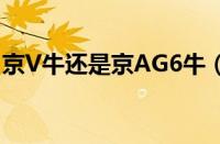 京V牛还是京AG6牛（京V026为什么这么狂）