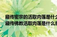 藏传密宗的活取肉莲是什么（藏传佛教活取肉莲是真的吗（藏传佛教活取肉莲是什么意思））