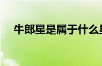 牛郎星是属于什么星座（牛郎星的星座）