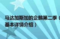 马达加斯加的企鹅第二季（关于马达加斯加的企鹅第二季的基本详情介绍）