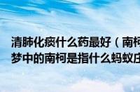 清肺化痰什么药最好（南柯一梦中的南柯是指什么（南柯一梦中的南柯是指什么蚂蚁庄园））
