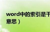 word中的索引是干嘛的（word索引是什么意思）