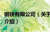 钢铁有限公司（关于钢铁有限公司的基本详情介绍）