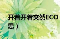 开着开着突然ECO（汽车显示ECO是什么意思）