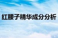 红腰子精华成分分析（红腰子精华使用方法）