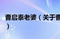 曹启泰老婆（关于曹启泰老婆的基本详情介绍）