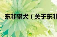 东非猎犬（关于东非猎犬的基本详情介绍）