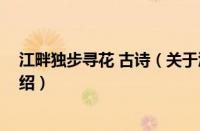 江畔独步寻花 古诗（关于江畔独步寻花 古诗的基本详情介绍）