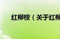 红柳桉（关于红柳桉的基本详情介绍）