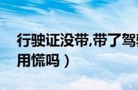 行驶证没带,带了驾驶证（开车没带行驶证不用慌吗）