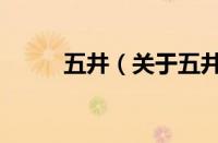 五井（关于五井的基本详情介绍）