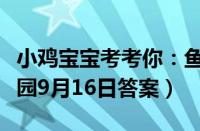 小鸡宝宝考考你：鱼有舌头吗（支付宝蚂蚁庄园9月16日答案）