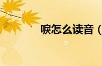 唳怎么读音（唳怎么读拼音）