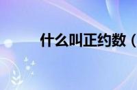 什么叫正约数（（正约数的和））