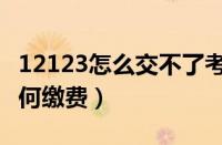 12123怎么交不了考试费（12123预约成功如何缴费）