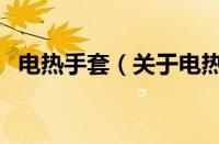 电热手套（关于电热手套的基本详情介绍）