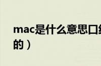 mac是什么意思口红（mac口红是哪个国家的）
