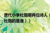 唐代小李杜指哪两位诗人（唐代小李杜指的是谁（古代小李杜指的是谁））