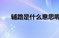 辅路是什么意思呢（辅路是什么意思）