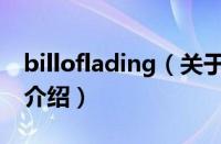 billoflading（关于billoflading的基本详情介绍）