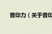普印力（关于普印力的基本详情介绍）