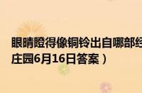 眼晴瞪得像铜铃出自哪部经典动画片的主题歌（支付宝蚂蚁庄园6月16日答案）