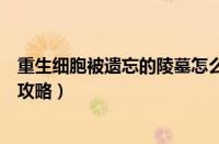 重生细胞被遗忘的陵墓怎么过（重生细胞被遗忘的陵墓通关攻略）