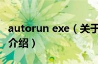 autorun exe（关于autorun exe的基本详情介绍）