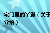 宅门里的丫鬟（关于宅门里的丫鬟的基本详情介绍）