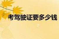 考驾驶证要多少钱（驾照考试费多少钱）