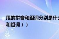 甩的拼音和组词分别是什么?（甩的拼音怎么写（甩的拼音和组词））