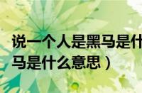 说一个人是黑马是什么意思（说一个人是匹黑马是什么意思）