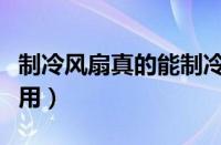 制冷风扇真的能制冷吗（制冷风扇到底有没有用）