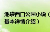 池袋西口公园小说（关于池袋西口公园小说的基本详情介绍）