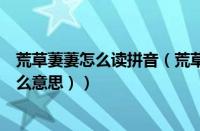 荒草萋萋怎么读拼音（荒草萋萋的意思解释（荒草萋萋是什么意思））