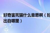 好奇害死猫什么意思啊（好奇害死猫什么意思 这句话的典故出自哪里）