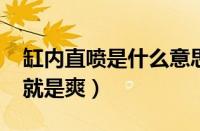 缸内直喷是什么意思（为什么缸内直喷不带t就是爽）