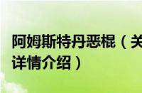 阿姆斯特丹恶棍（关于阿姆斯特丹恶棍的基本详情介绍）