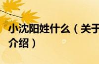 小沈阳姓什么（关于小沈阳姓什么的基本详情介绍）