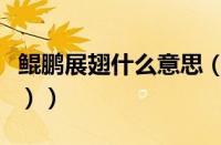 鲲鹏展翅什么意思（（鲲鹏展翅什么意思解释））