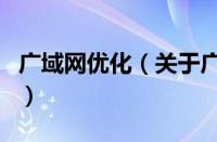 广域网优化（关于广域网优化的基本详情介绍）