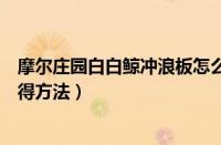 摩尔庄园白白鲸冲浪板怎么获得（摩尔庄园白白鲸冲浪板获得方法）