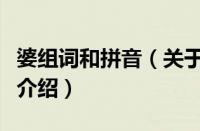 婆组词和拼音（关于婆组词和拼音的基本详情介绍）