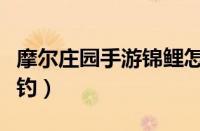 摩尔庄园手游锦鲤怎么钓（摩尔庄园锦鲤在哪钓）