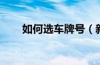 如何选车牌号（新车 选号技巧车牌）