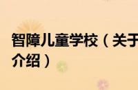 智障儿童学校（关于智障儿童学校的基本详情介绍）