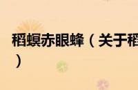稻螟赤眼蜂（关于稻螟赤眼蜂的基本详情介绍）