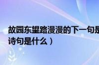 故园东望路漫漫的下一句是什么（故园东望路漫漫的下一句诗句是什么）